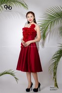 Váy tafta cup ngực Xòe thêu voan
